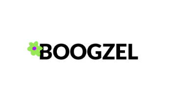 Boogzel Codes